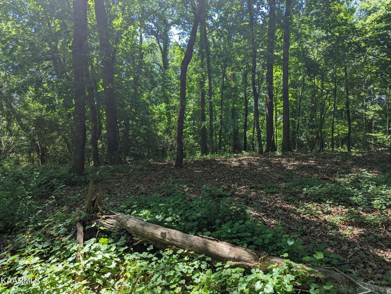 0 Thomas Ln Lot #92 Ln, Kingston, TN 37763