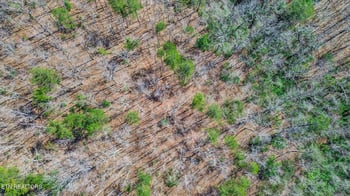 0 Thompson Rd, Crossville, TN 38571