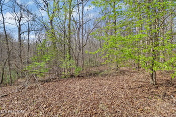 0 Thompson Rd, Crossville, TN 38571