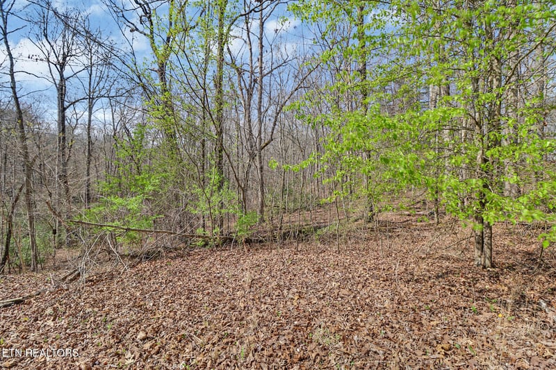 0 Thompson Rd, Crossville, TN 38571