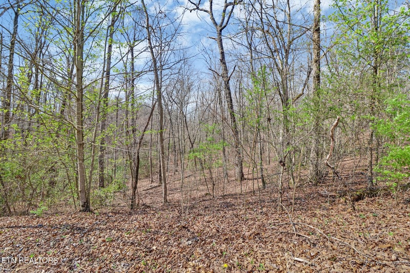 0 Thompson Rd, Crossville, TN 38571