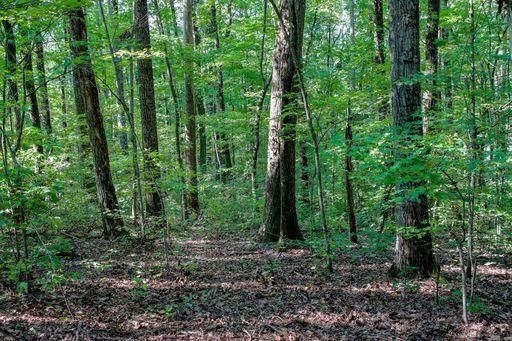 0 Thompson Rd, Knoxville, TN 37932
