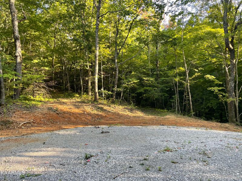 0 Thompson Tr, Winfield, TN 37892