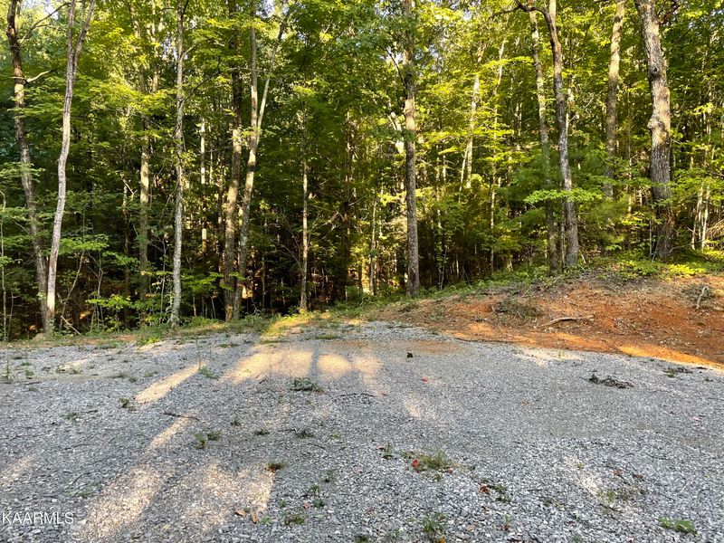 0 Thompson Tr, Winfield, TN 37892