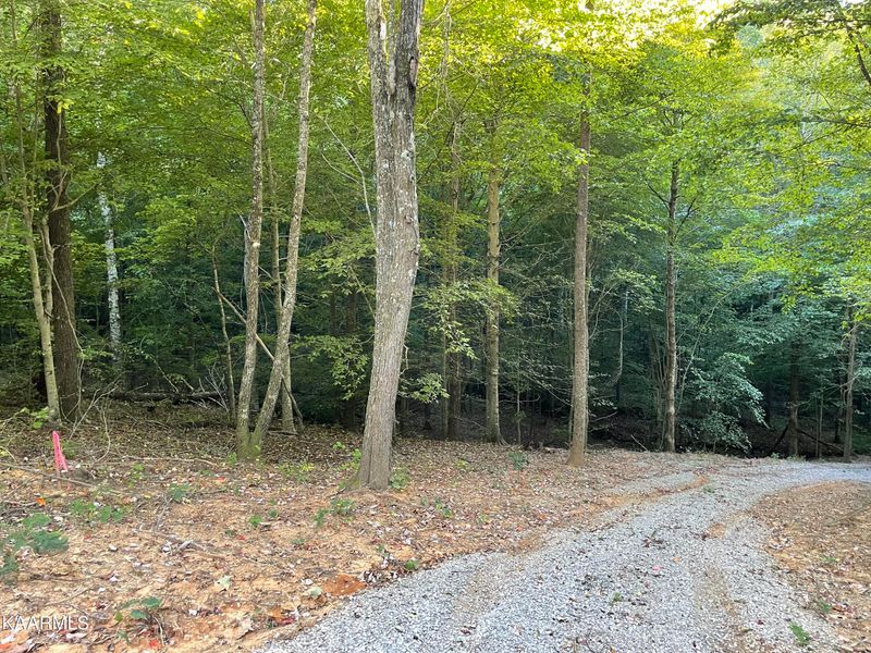 0 Thompson Tr, Winfield, TN 37892