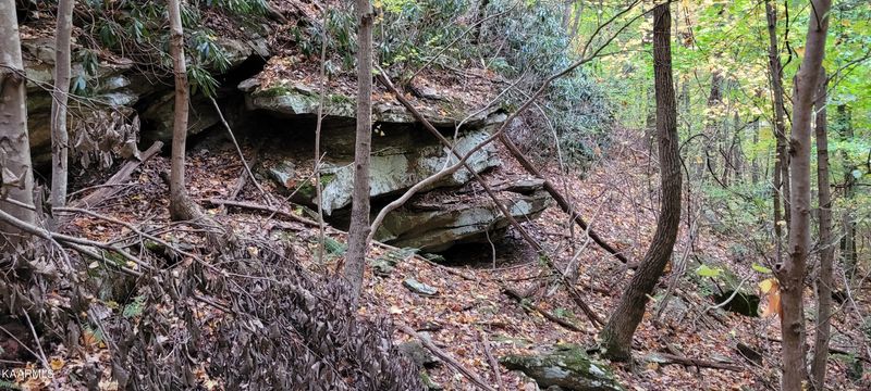 0 Thompson Tr, Winfield, TN 37892