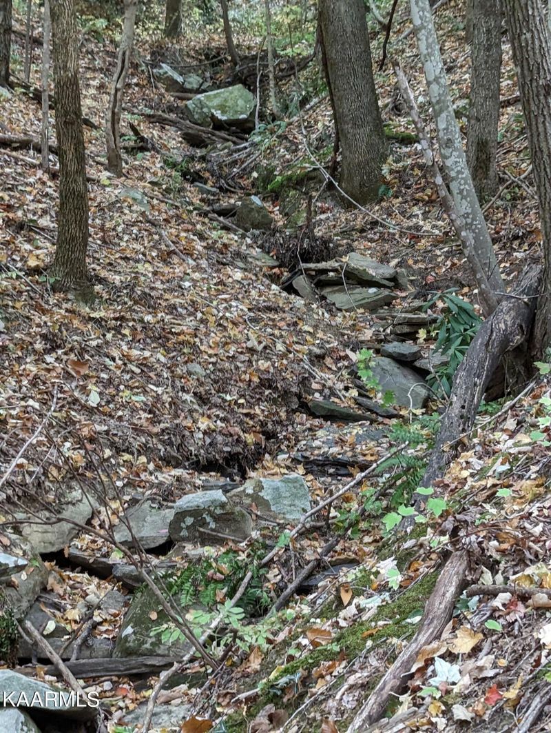 0 Thompson Tr, Winfield, TN 37892