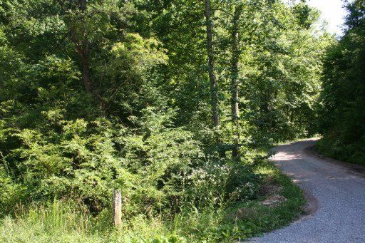 0 Three Point Rd #2120-L, Vonore, TN 37885