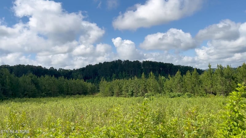 0 Three Point Rd, Madisonville, TN 37354