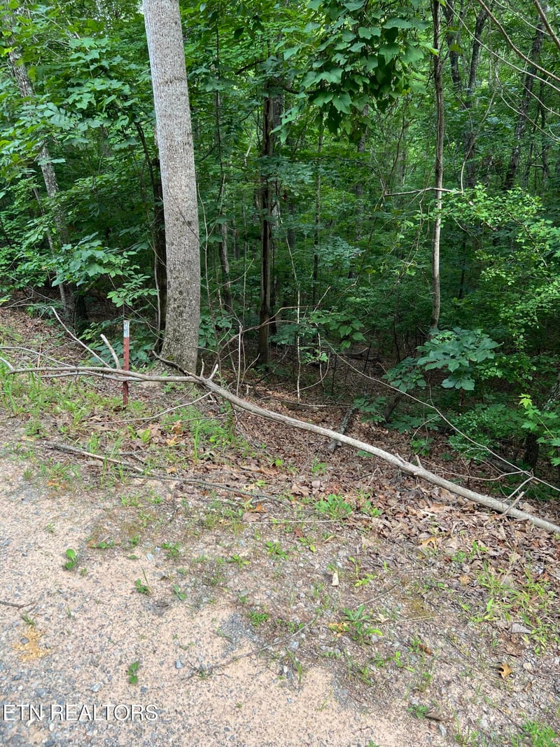 0 Three Point Rd, Vonore, TN 37885