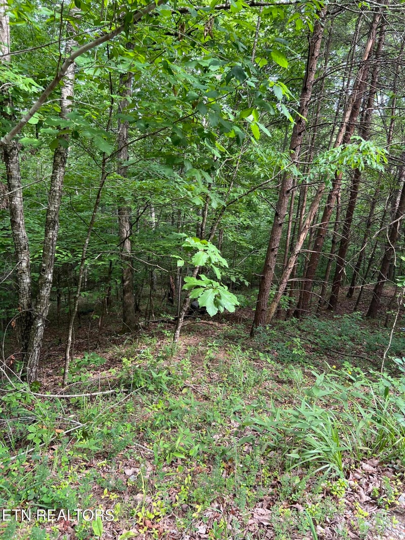 0 Three Point Rd, Vonore, TN 37885