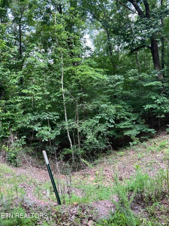 0 Three Point Rd, Vonore, TN 37885