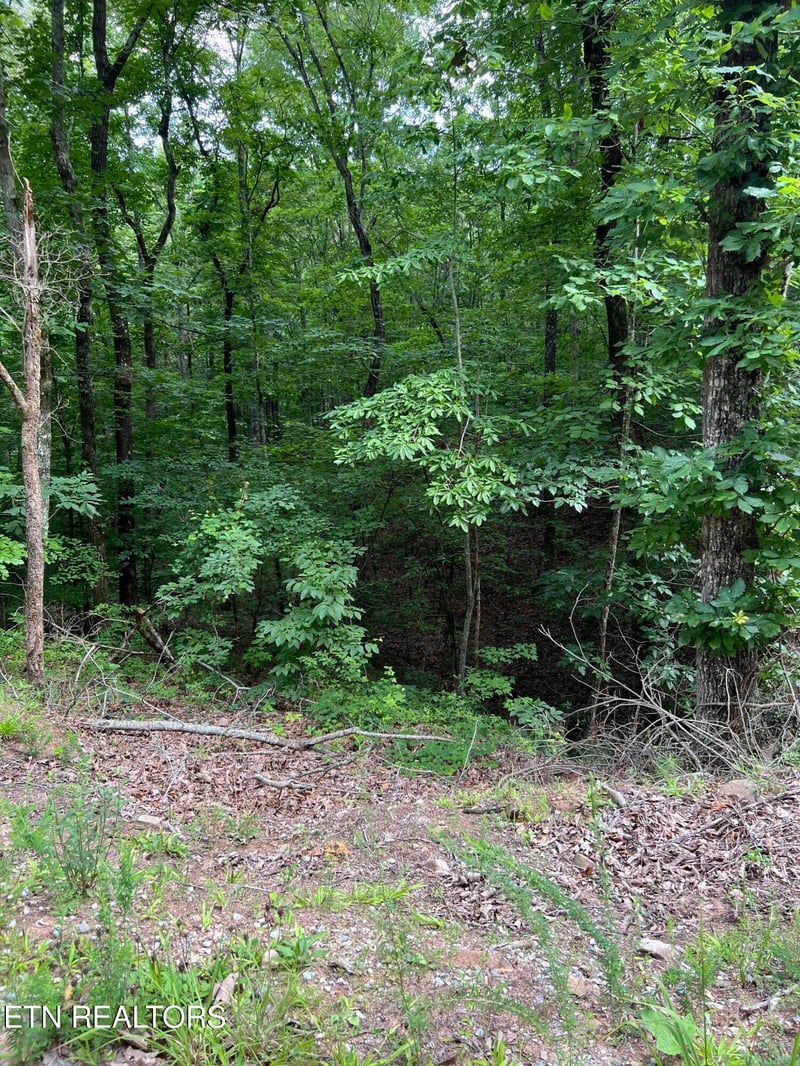 0 Three Point Rd, Vonore, TN 37885