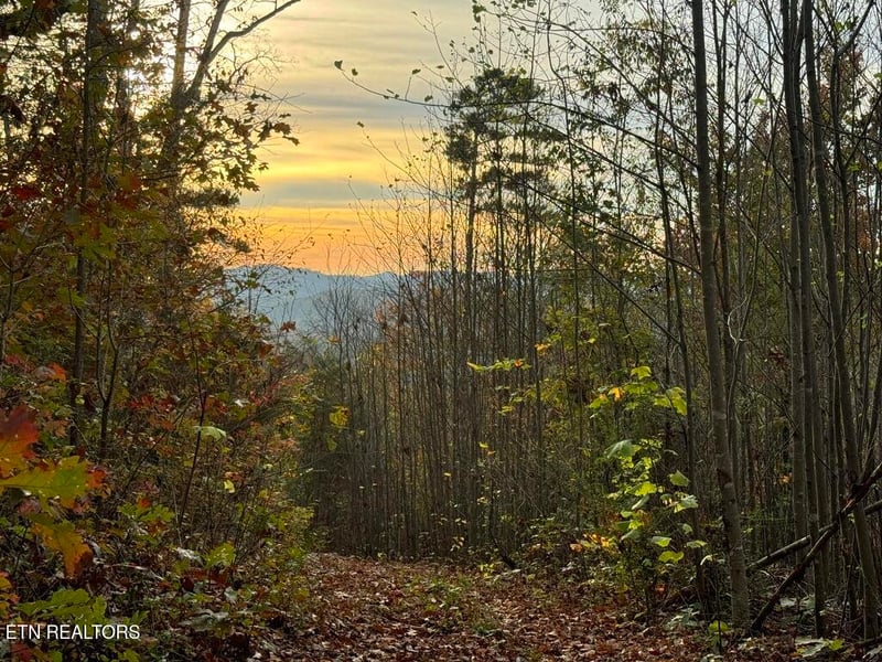 0 Three Point Tract 3 Rd #004.03, Vonore, TN 37885
