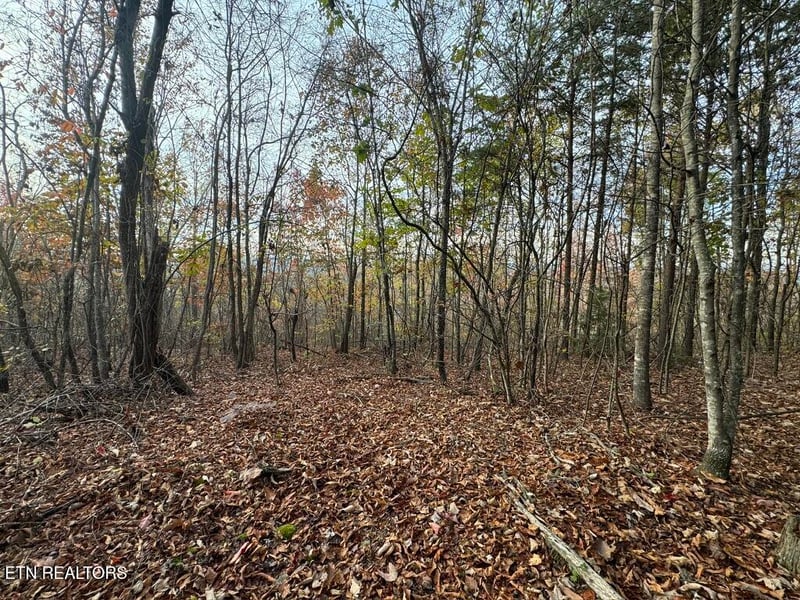 0 Three Point Tract 3 Rd #004.03, Vonore, TN 37885