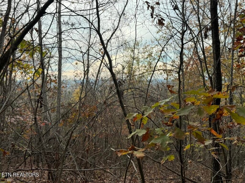 0 Three Point Tract 3 Rd #004.03, Vonore, TN 37885