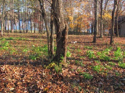 0 Tigitsi Cir, Loudon, TN 37774