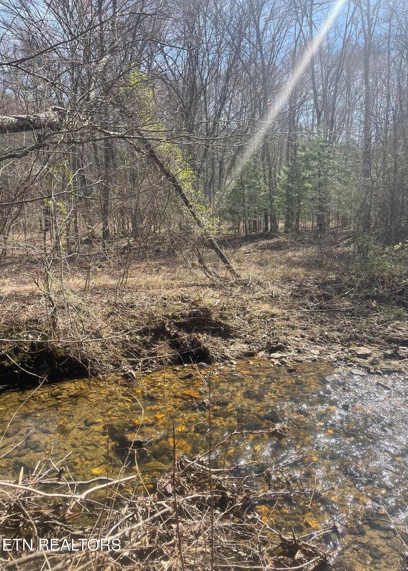 0 Tilley Rd, Tellico Plains, TN 37385