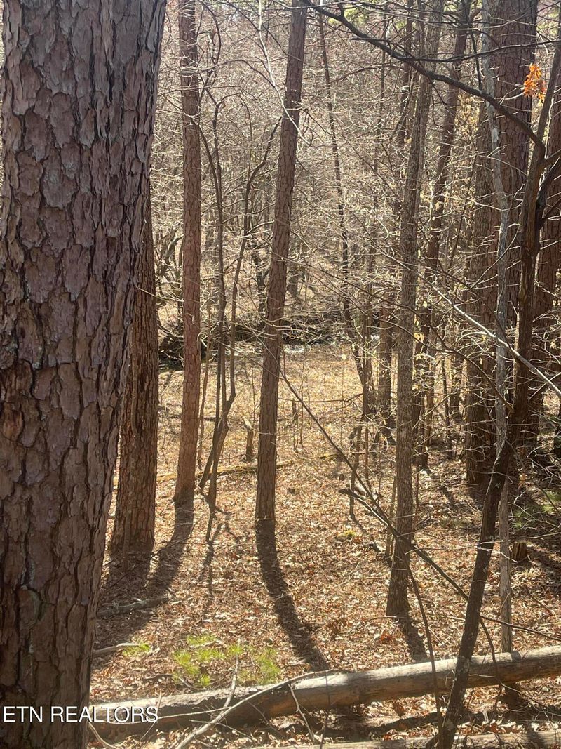 0 Tilley Rd, Tellico Plains, TN 37385