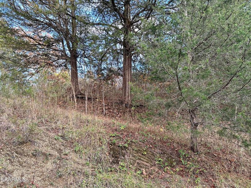 0 Tim Nicely Ln, Washburn, TN 37888