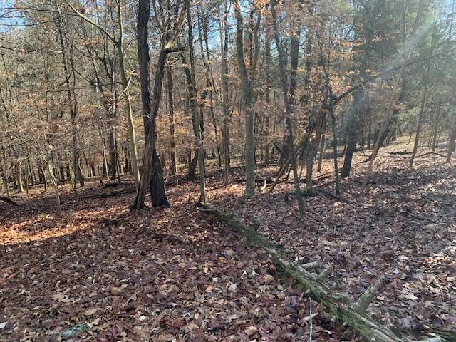 0 Timberline Dr, Kingston, TN 37763