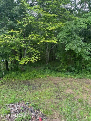 0 Timothy Dr, Crossville, TN 38572