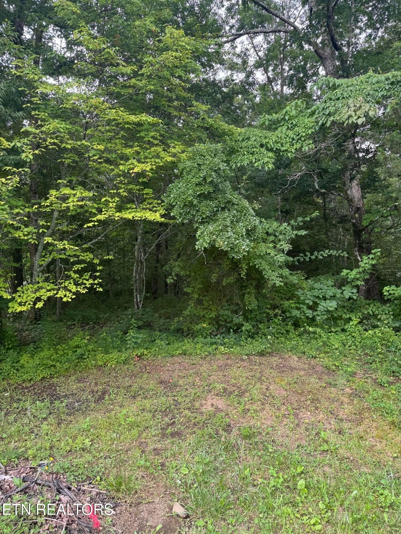 0 Timothy Dr, Crossville, TN 38572
