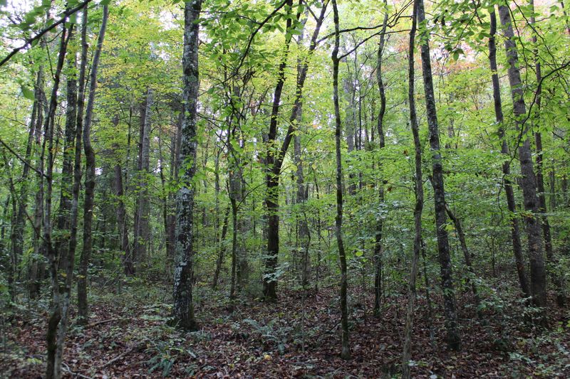 0 Tn 68 #2158-L, Tellico Plains, TN 37385
