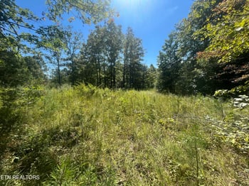 0 Todd Town Off, Sparta, TN 38583