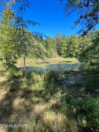 0 Todd Town Off, Sparta, TN 38583