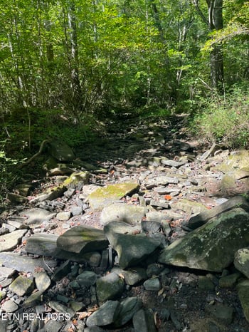 0 Todd Town Off, Sparta, TN 38583