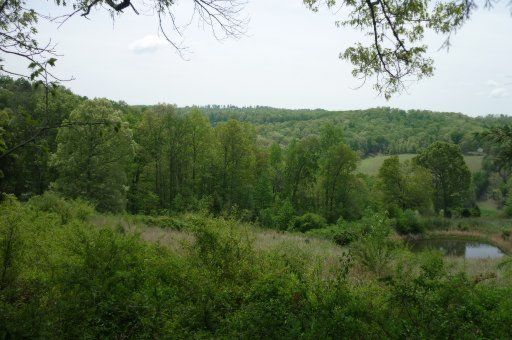 0 Tolliver Ridge Rd, Sharps Chapel, TN 37866