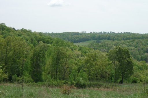 0 Tolliver Ridge Rd, Sharps Chapel, TN 37866