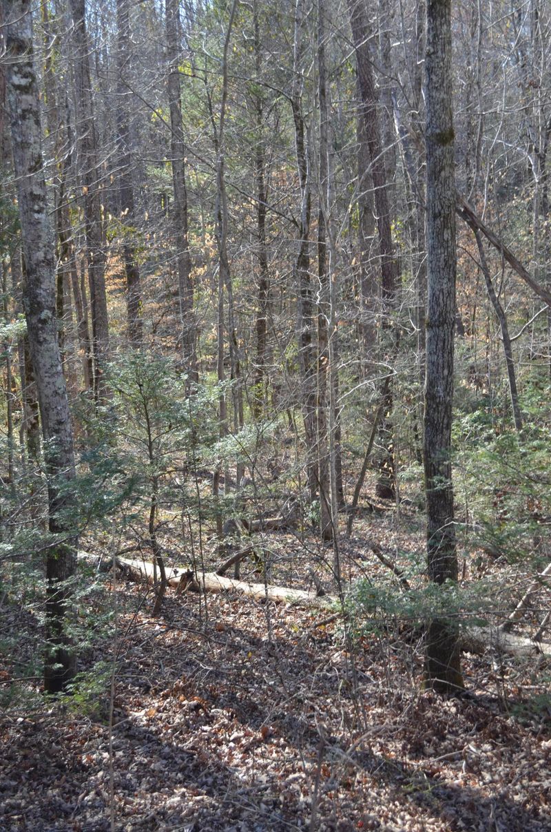 0 Tom Henry Rd, Townsend, TN 37882