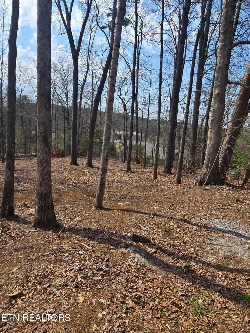 0 Tomahawk Tr, Maryville, TN 37801