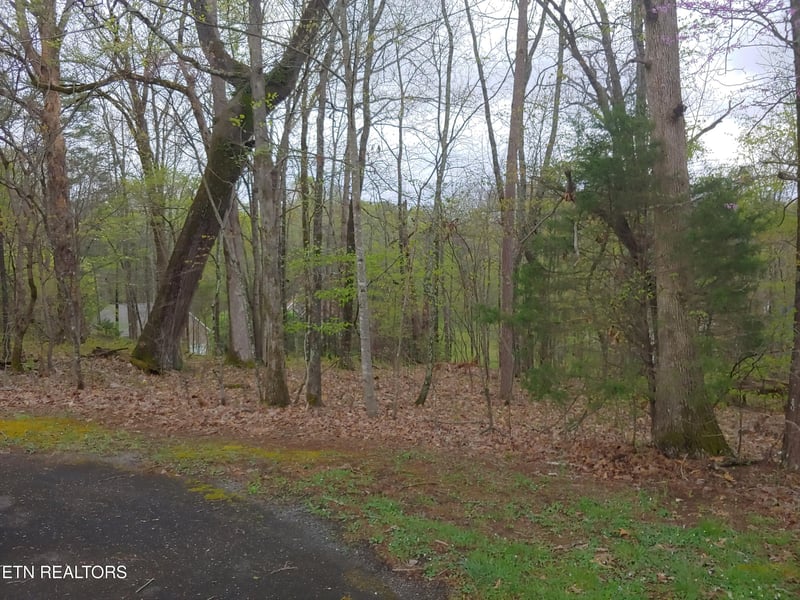 0 Tomahawk Tr, Maryville, TN 37801