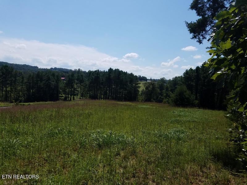 0 Tommy Loop Rd, Sweetwater, TN 37874