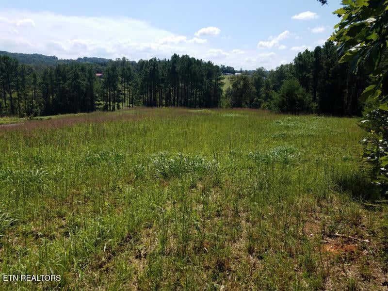 0 Tommy Loop Rd, Sweetwater, TN 37874