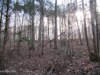 0 Tomotley Rd, Maryville, TN 37801