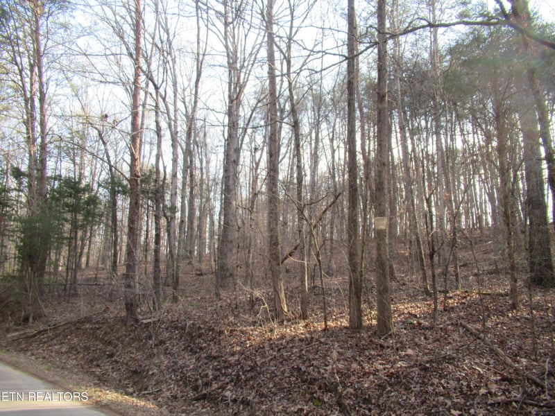 0 Tomotley Rd, Maryville, TN 37801