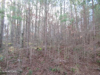 0 Tomotley Rd, Maryville, TN 37801
