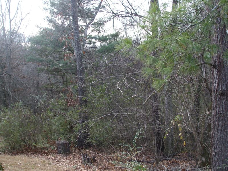 0 Top Hill Rd, Louisville, TN 37777