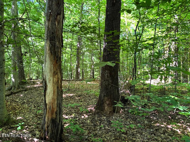 0 Topside Rd, Knoxville, TN 37920