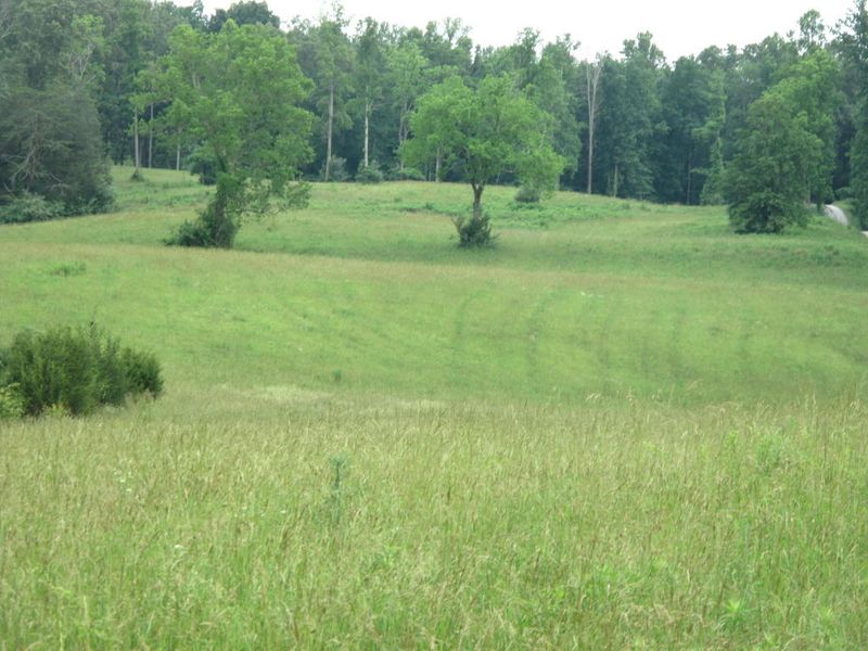 0 Towe String Rd, Jacksboro, TN 37757