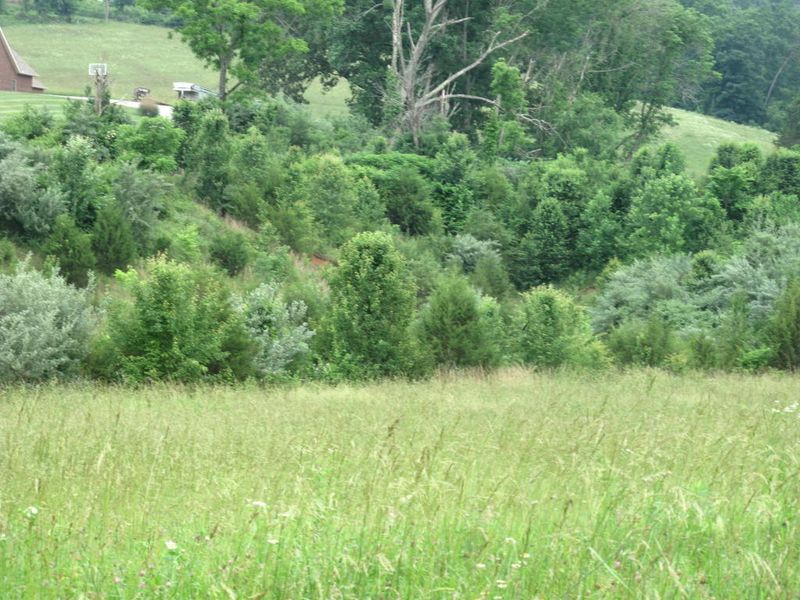 0 Towe String Rd, Jacksboro, TN 37757