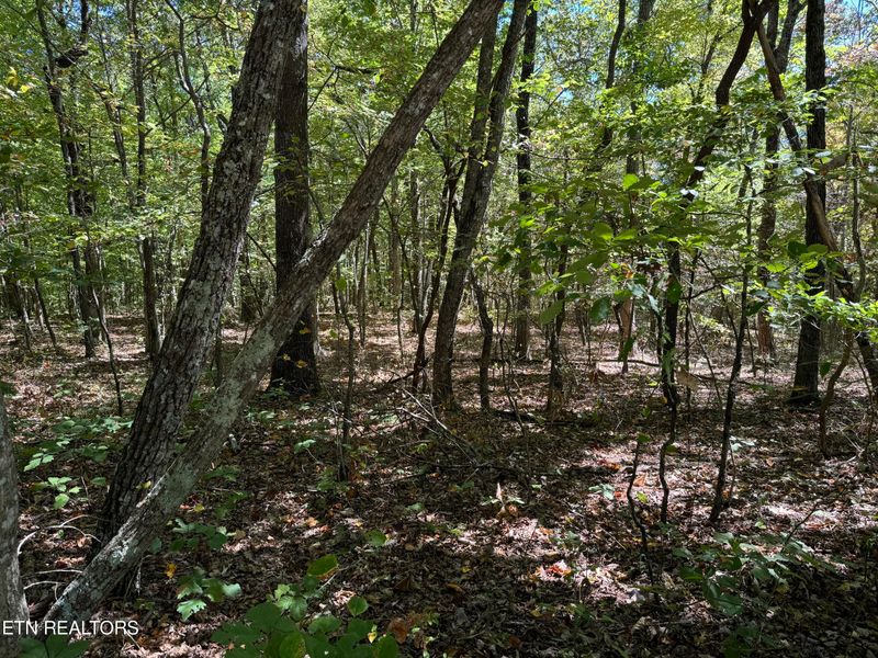 0 Tower Rd #4, Monterey, TN 38574
