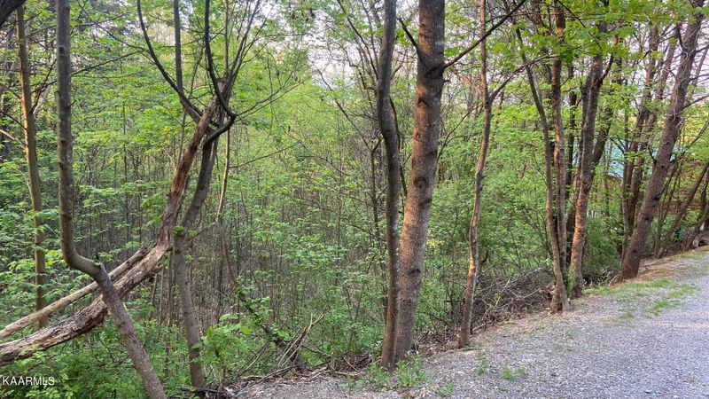 0 Townview Dr, Tellico Plains, TN 37385