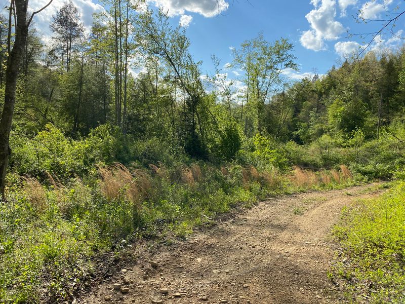 0 Tract 11 Mt View Rd, Robbins, TN 37852