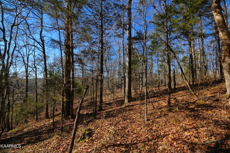 0 Tract 12 Bill Moser Rd, Vonore, TN 37885