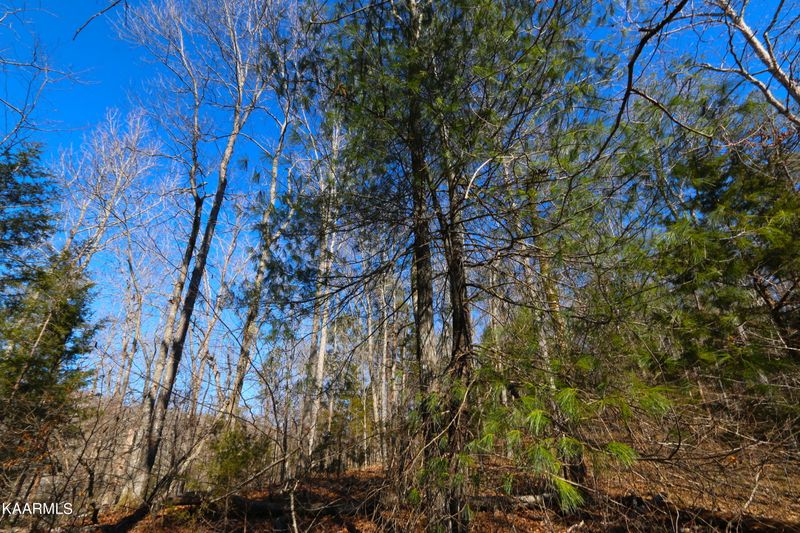 0 Tract 12 Bill Moser Rd, Vonore, TN 37885